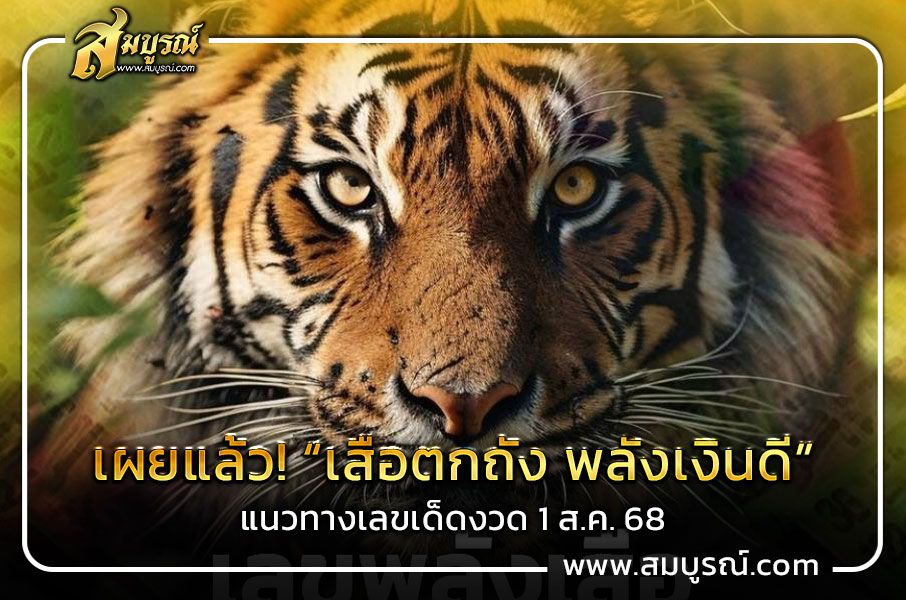 เผยแล้ว! “เสือตกถัง พลังเงินดี” แนวทางเลขเด็ดงวด 1 ส.ค. 68